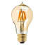 an LED filament light bulb